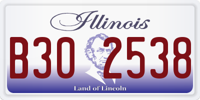 IL license plate B302538