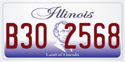 IL license plate B302568