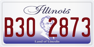 IL license plate B302873