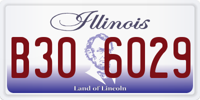 IL license plate B306029