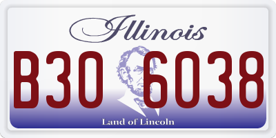 IL license plate B306038