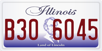 IL license plate B306045