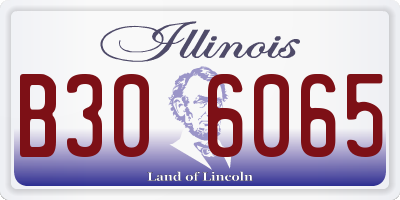 IL license plate B306065