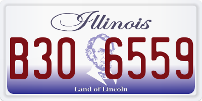 IL license plate B306559