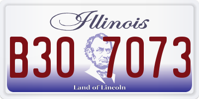 IL license plate B307073