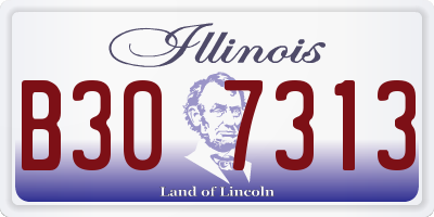IL license plate B307313