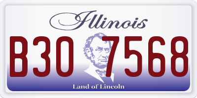 IL license plate B307568