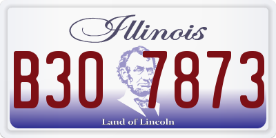 IL license plate B307873
