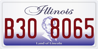 IL license plate B308065