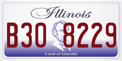 IL license plate B308229