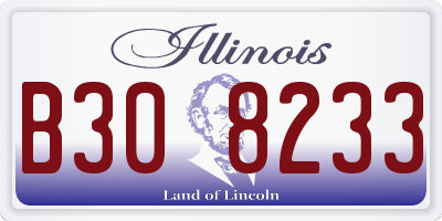 IL license plate B308233