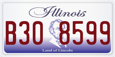 IL license plate B308599