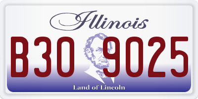 IL license plate B309025