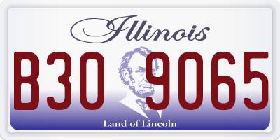 IL license plate B309065
