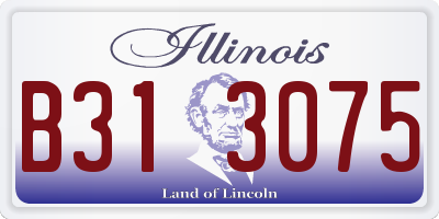 IL license plate B313075