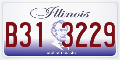 IL license plate B313229