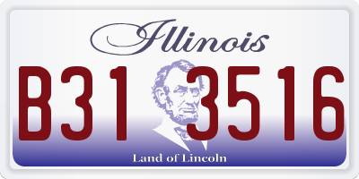 IL license plate B313516