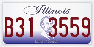 IL license plate B313559