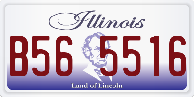 IL license plate B565516