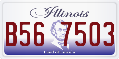 IL license plate B567503