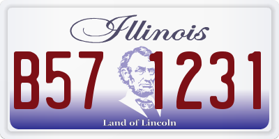 IL license plate B571231