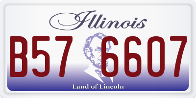 IL license plate B576607