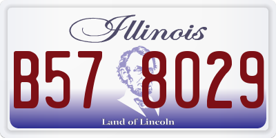 IL license plate B578029