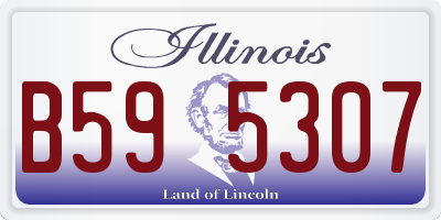 IL license plate B595307