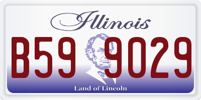 IL license plate B599029