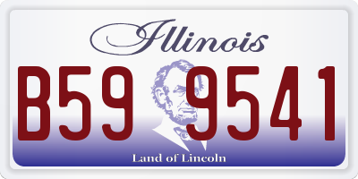 IL license plate B599541