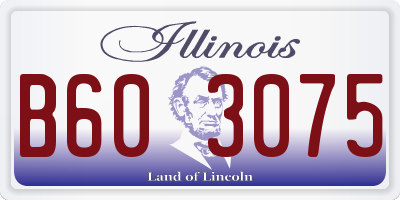 IL license plate B603075