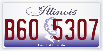 IL license plate B605307