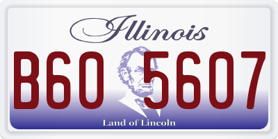IL license plate B605607