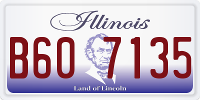 IL license plate B607135