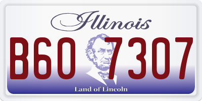 IL license plate B607307