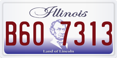 IL license plate B607313