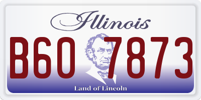 IL license plate B607873