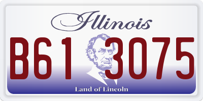 IL license plate B613075