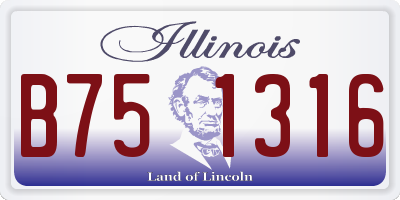 IL license plate B751316