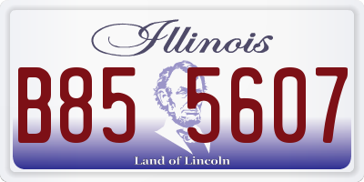 IL license plate B855607