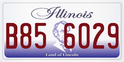 IL license plate B856029