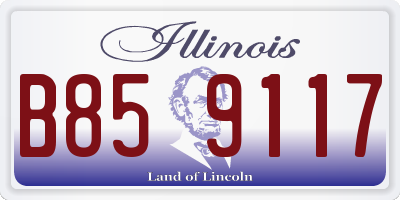 IL license plate B859117