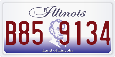 IL license plate B859134