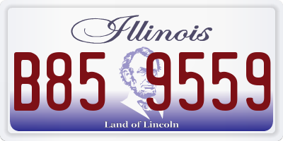IL license plate B859559