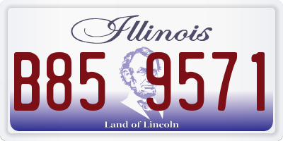 IL license plate B859571
