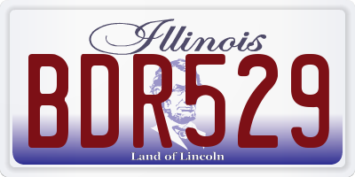 IL license plate BDR529