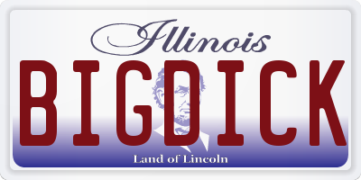 IL license plate BIGDICK