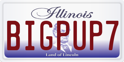 IL license plate BIGPUP7