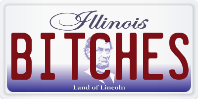 IL license plate BITCHES