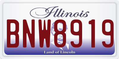 IL license plate BNW8919